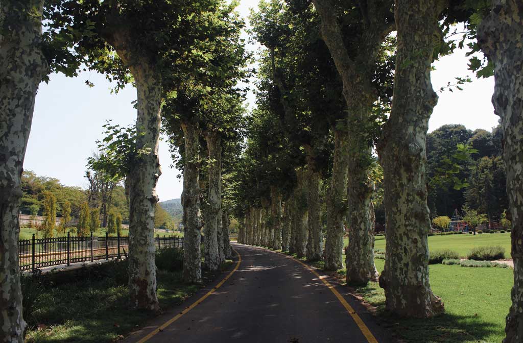 Palanti e il sogno della Città Giardino 2026